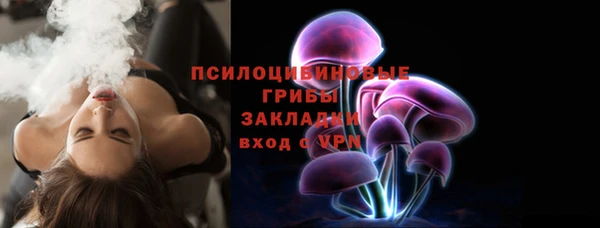Альфа ПВП Алексин