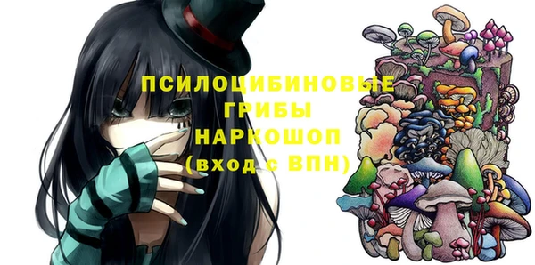ешки Алзамай