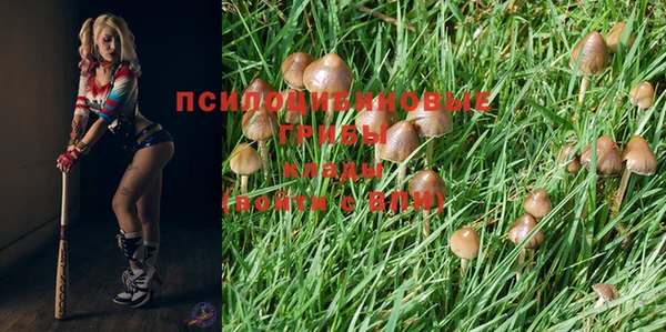ешки Алзамай