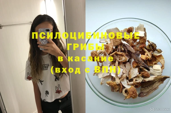 Альфа ПВП Алексин